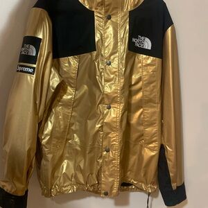 Supreme x The North Face Metallic Gold Mountain Parka